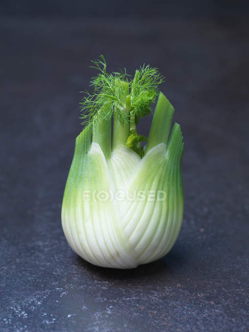 Close-up view of fennel head — Stock Photo