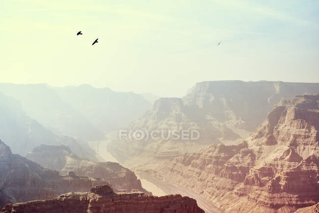 Guano Point, Grand Canyon Oeste — Fotografia de Stock