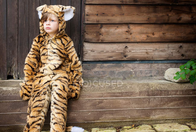 Garçon portant un costume de tigre à l'extérieur — Photo de stock