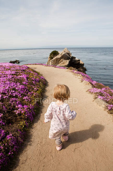 Kleinkind läuft neben rosafarbenen Blumen entlang des Weges — Stockfoto