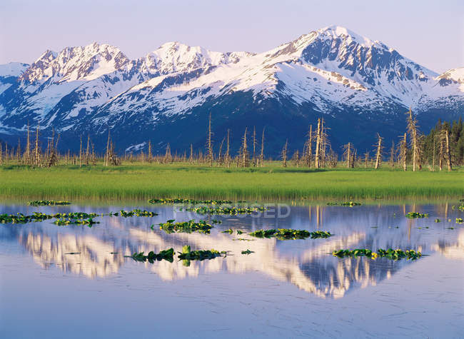 Chugach montanhas refletindo na lagoa — Fotografia de Stock