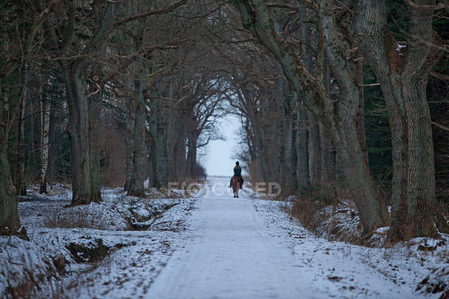 Mulher equitação cavalo no caminho nevado — Fotografia de Stock