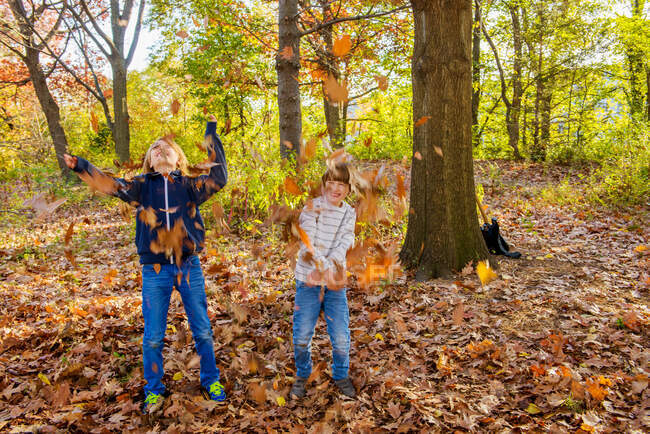 Dos hermanos en el bosque, arrojando hojas de otoño - foto de stock
