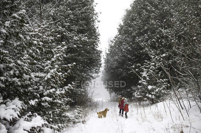 Sisters exploring snowy forest with dog — Stock Photo
