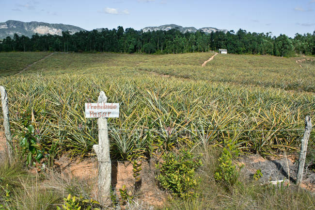 Sinal de aviso no campo de cultivo — Fotografia de Stock