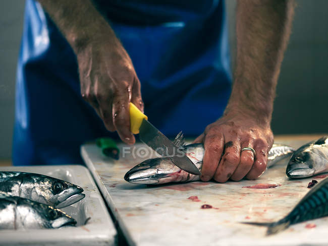 Cropped image of fishmonger cutting fish on table — Stock Photo