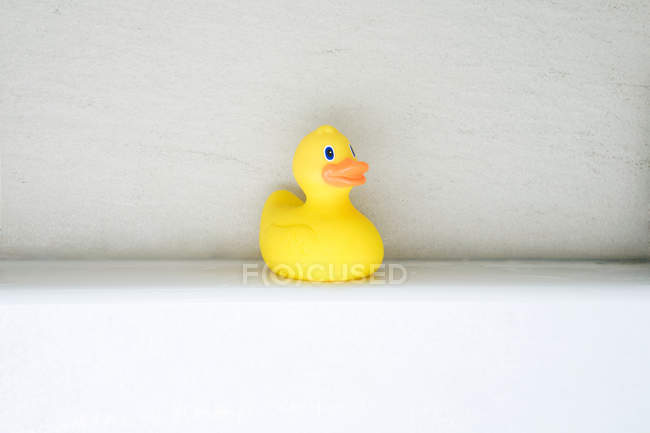 Close up of Rubber duck on white background — Stock Photo