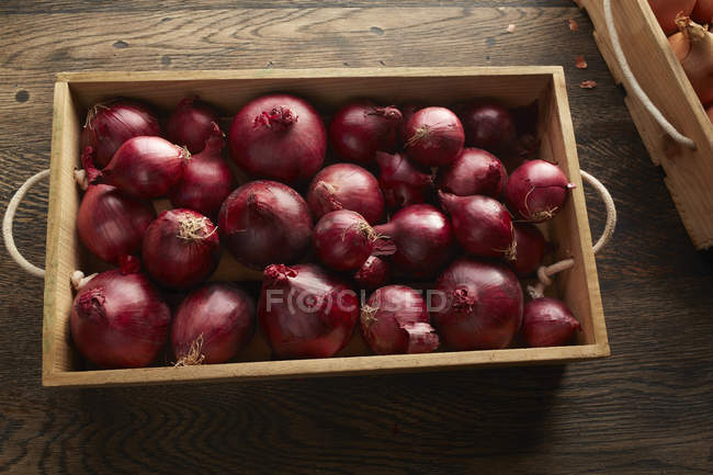 Вид сверху на красный лук в деревянном ящике — стоковое фото
