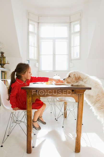 Fille nourrir chien à table, se concentrer sur l'avant-plan — Photo de stock
