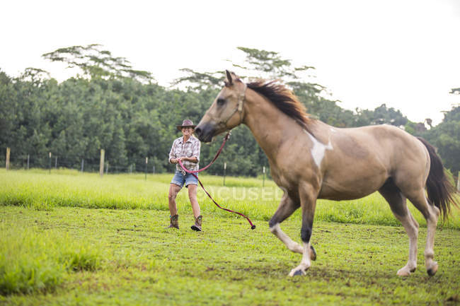 Retrato de mulher madura exercitando cavalo no campo — Fotografia de Stock