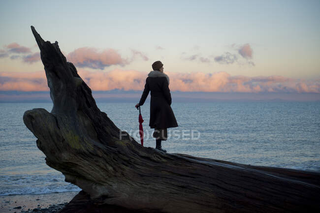 Mujer apoyada en un paraguas de pie sobre un gran tronco de madera a la deriva en la playa - foto de stock