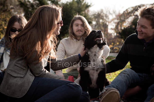 Amis sur la pelouse jouer avec le chien — Photo de stock