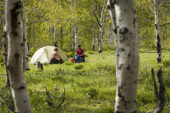 Instalación de campamento en viaje de mochilero, Bosque Nacional de Uinta, Montañas Wasatch, Utah, EE.UU. - foto de stock