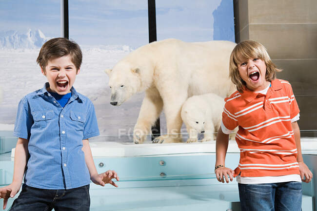 Испуганные мальчики кричат на белых медведей — стоковое фото