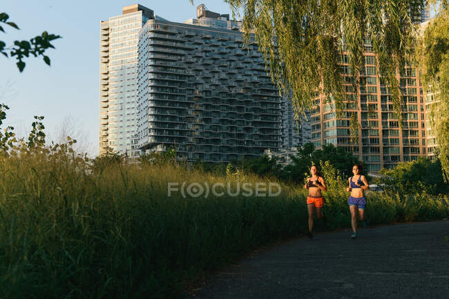 Dos amigos haciendo ejercicio juntos, corriendo al aire libre - foto de stock