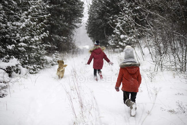 Vista trasera de chicas corriendo explorando bosque nevado con perro - foto de stock