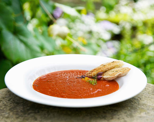 Томатный и базиликовый суп в миске, подаваемый с гренками — стоковое фото