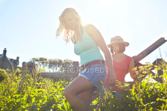 Dos niñas caminando en un campo - foto de stock