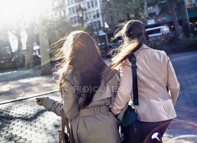 Вид сзади на молодую взрослую двойню, идущую через городской парк — стоковое фото