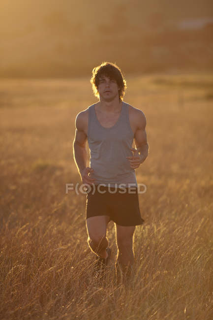 Hombre corriendo en hierba alta al atardecer - foto de stock
