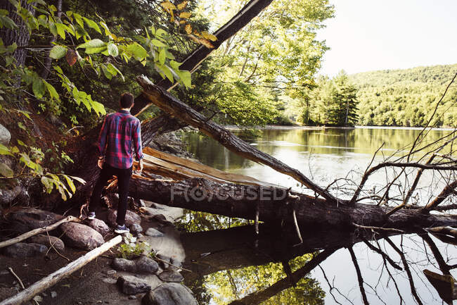 Hombre de pie junto al lago, vista trasera - foto de stock