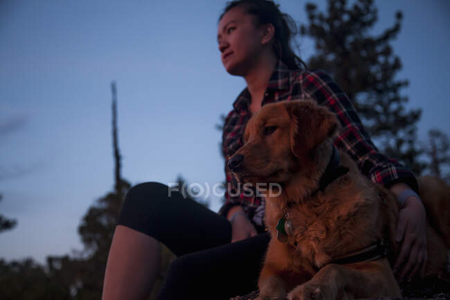 Visão de baixo ângulo da jovem mulher sentada com o braço ao redor do cão olhando para longe — Fotografia de Stock