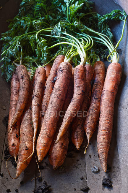 Basket of fresh carrots — Stock Photo