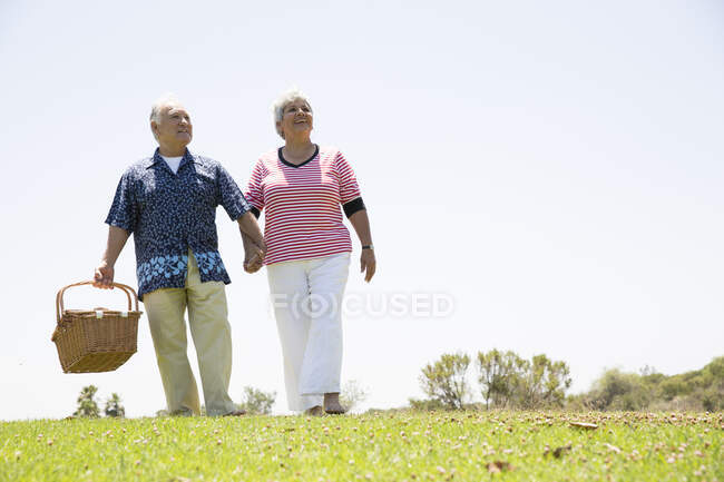 Старша пара йде рука в руку з пікніковим кошиком. — стокове фото