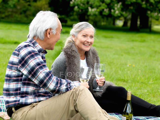 Älteres Paar trinkt Wein beim Picknick — Stockfoto