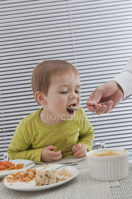 Отец кормит сына за обеденным столом — стоковое фото