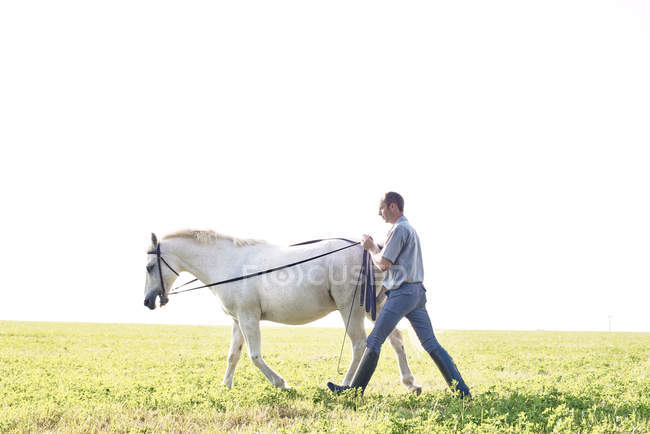 Hombre entrenando caballo blanco en el campo - foto de stock