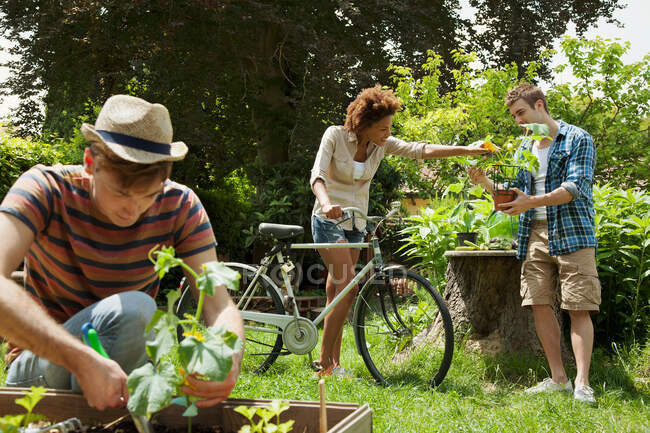 Friends gardening, woman with bicycle — Stock Photo