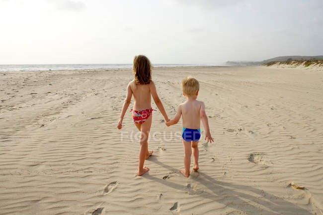 Visão traseira do irmão e da irmã andando na praia — Fotografia de Stock