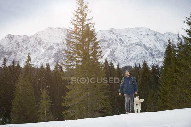 Young man walking uphill with husky in snow covered landscape, Elmau, Bavaria, Germany — Stock Photo