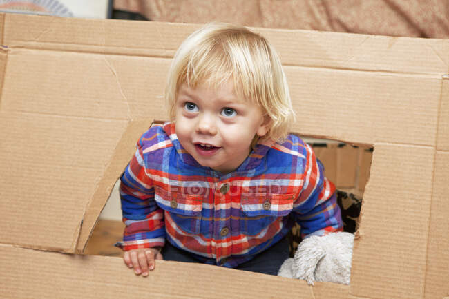 Menino brincando com caixa de papelão na sala de estar — Fotografia de Stock