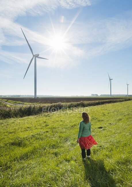 Зріла жінка стоїть на полі, спостерігаючи за вітровими турбінами на вітряку, задній вид, Ріланд, Зеландія, Нідерланди. — стокове фото