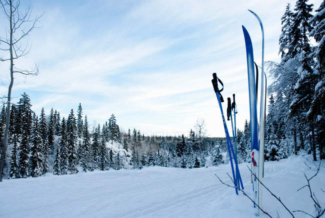 Bastoncini e bastoni da sci bloccati nella neve — Foto stock