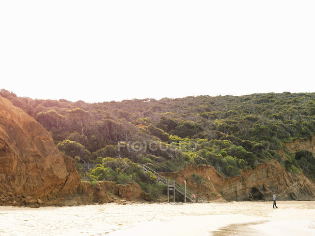Vista di scogliere e spiaggia, Point Addis National Park, Anglesea, Australia — Foto stock
