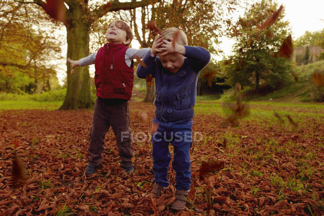 Jungen werfen Herbstblätter — Stockfoto