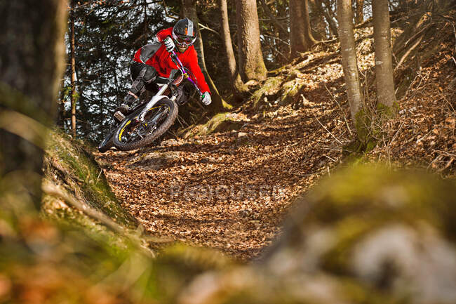 Uomo mountain bike attraverso la foresta — Foto stock