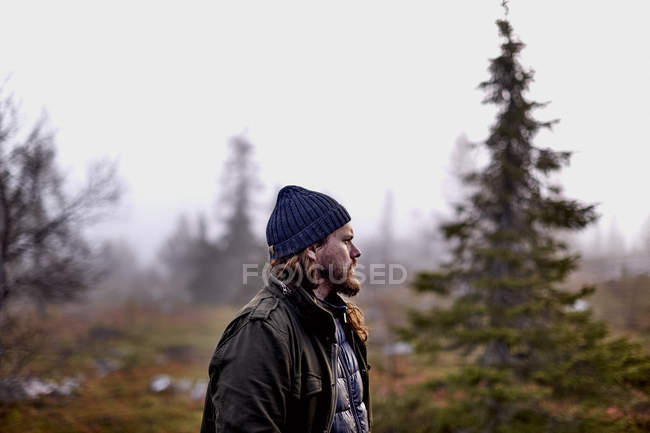 Escursionista nel parco, Sarkitunturi, Lapponia, Finlandia — Foto stock