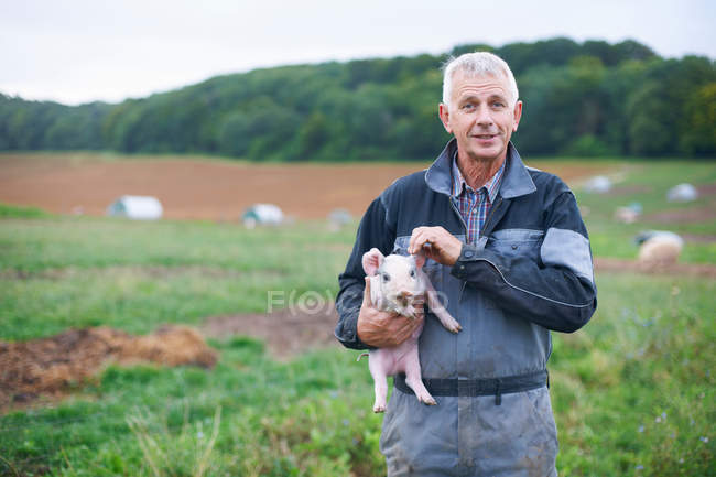 Farmer holding piglet in field — Stock Photo