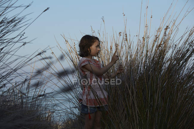 Girl and silhouetted long grass, Almeria, Andalusia, Spain — Stock Photo
