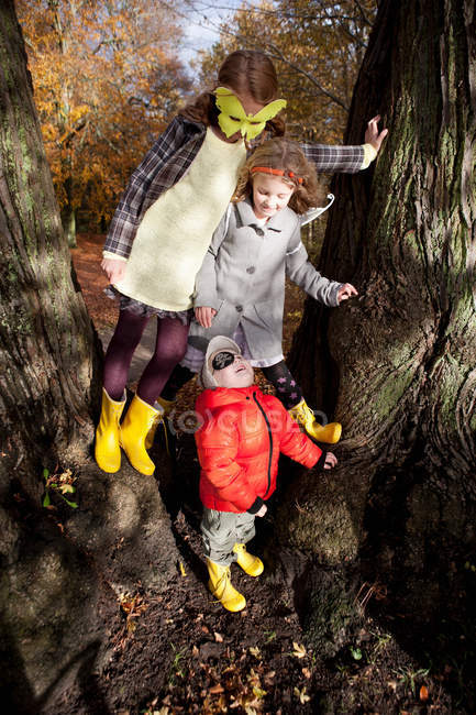 Children playing together in tree — Stock Photo