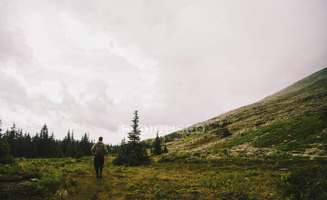 Vista trasera del hombre caminando solo en el paisaje del valle, montañas de los Urales, Rusia - foto de stock