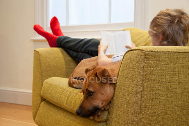 Junge im Sessel liest und knuddelt Hund — Stockfoto