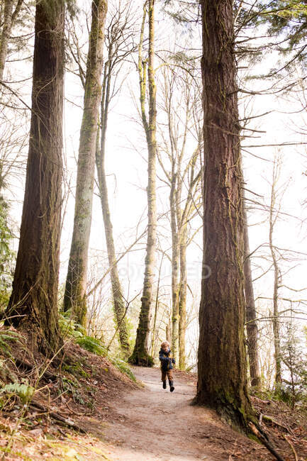 Menino correndo ao longo do caminho da floresta — Fotografia de Stock