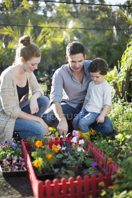 Ehepaar und Sohn mit Miniaturgarten auf Schrebergarten — Stockfoto