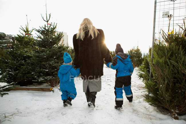 Mãe e filhos escolhendo árvore de Natal — Fotografia de Stock