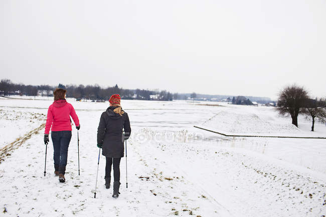 Вид ззаду жінок, що ходять по льоду — стокове фото